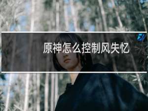 原神怎么控制风失忆