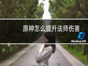 原神怎么提升法师伤害