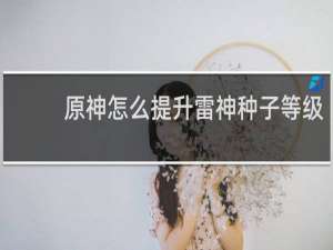 原神怎么提升雷神种子等级