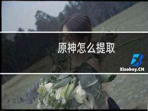 原神怎么提取