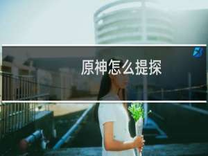 原神怎么提探