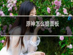 原神怎么提面板