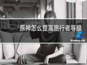 原神怎么提高旅行者等级