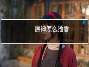 原神怎么插香