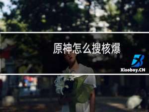 原神怎么搜核爆