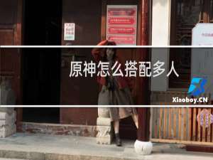 原神怎么搭配多人