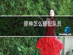 原神怎么搭配队员