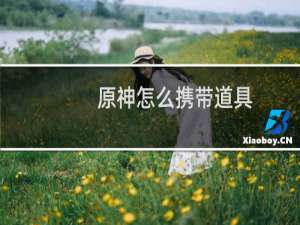 原神怎么携带道具