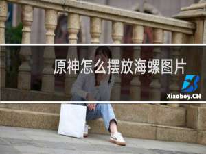 原神怎么摆放海螺图片