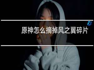 原神怎么摘掉风之翼碎片