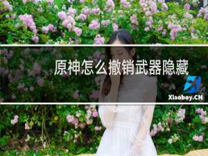 原神怎么撤销武器隐藏