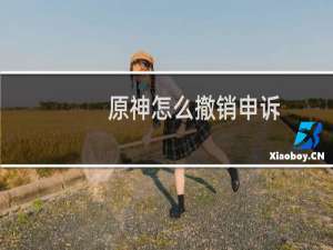 原神怎么撤销申诉