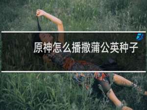 原神怎么播撒蒲公英种子