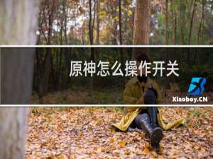 原神怎么操作开关