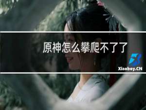 原神怎么攀爬不了了
