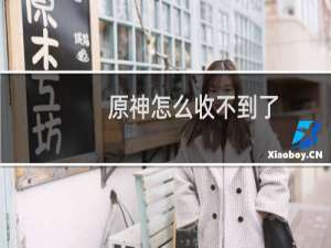 原神怎么收不到了