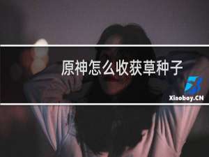 原神怎么收获草种子