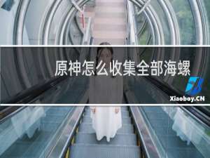 原神怎么收集全部海螺