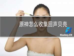 原神怎么收集回声贝壳