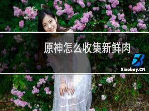 原神怎么收集新鲜肉
