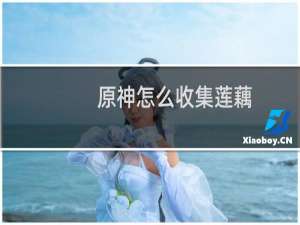 原神怎么收集莲藕