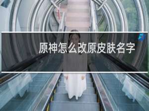 原神怎么改原皮肤名字