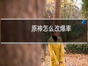 原神怎么改爆率