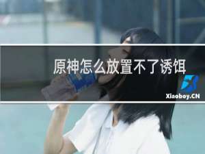 原神怎么放置不了诱饵