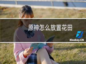 原神怎么放置花田