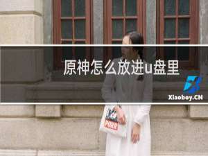 原神怎么放进u盘里