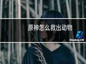 原神怎么救出动物
