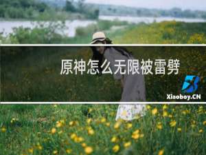 原神怎么无限被雷劈