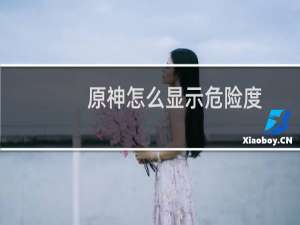原神怎么显示危险度