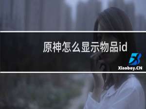原神怎么显示物品id
