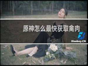原神怎么最快获取禽肉