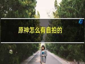 原神怎么有自拍的