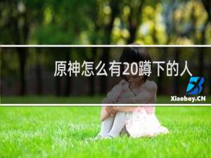 原神怎么有 蹲下的人