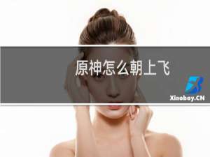 原神怎么朝上飞
