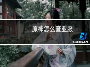 原神怎么查亚服