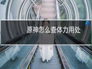 原神怎么查体力用处