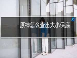 原神怎么查出大小保底