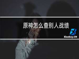 原神怎么查别人战绩