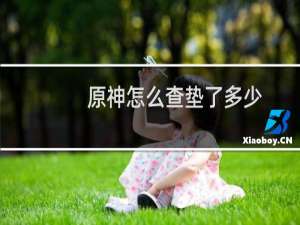 原神怎么查垫了多少