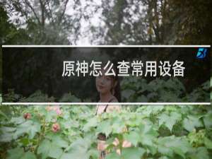 原神怎么查常用设备