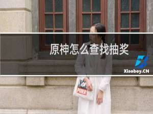 原神怎么查找抽奖