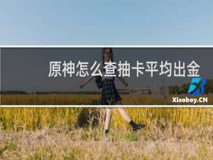 原神怎么查抽卡平均出金