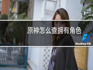 原神怎么查拥有角色