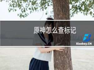 原神怎么查标记