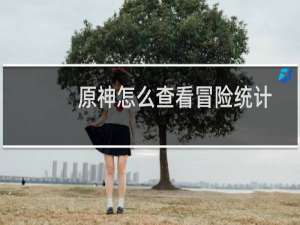 原神怎么查看冒险统计