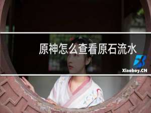 原神怎么查看原石流水